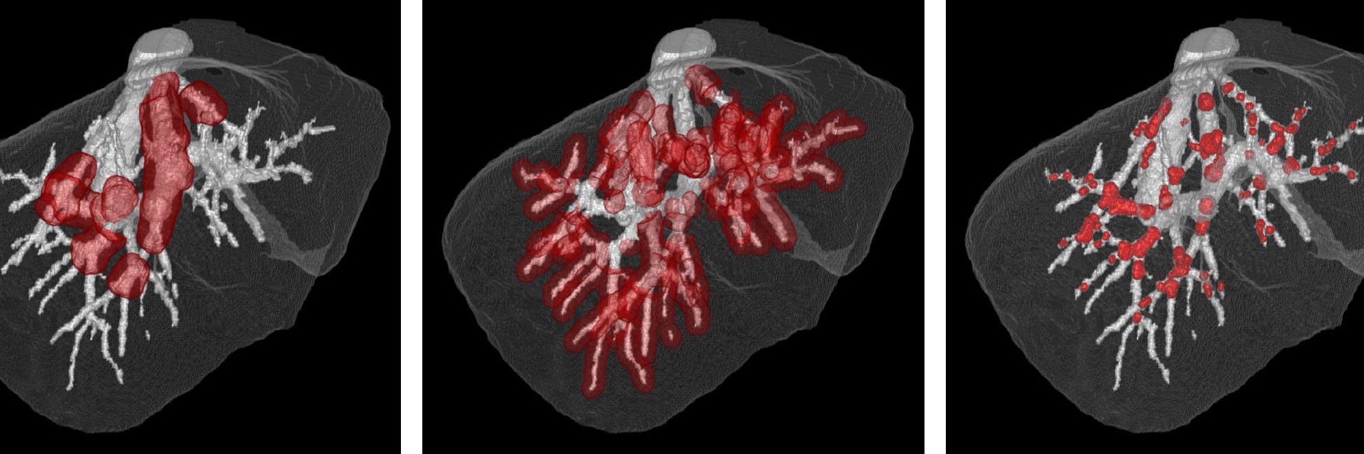 Illustration du projet
